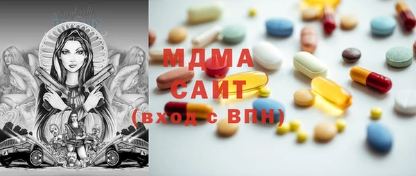 индика Бородино