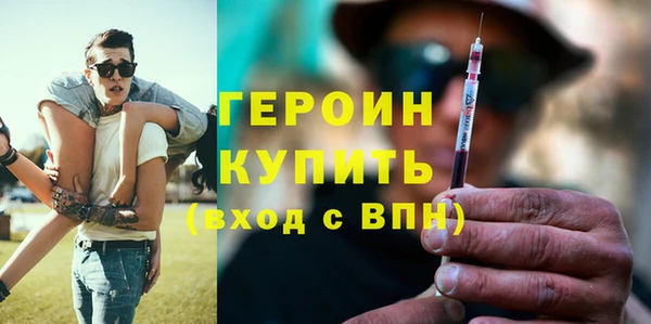 индика Бородино
