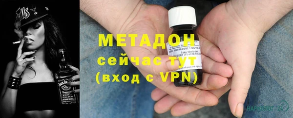 индика Бородино