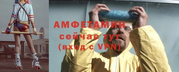 индика Бородино