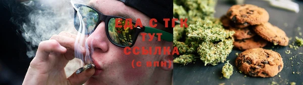 индика Бородино