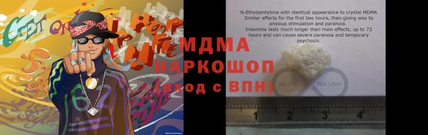 индика Бородино