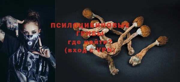 бошки Бугульма