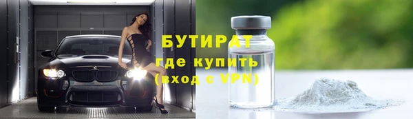индика Бородино