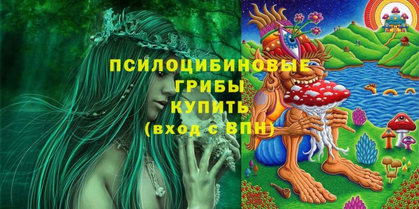 индика Бородино