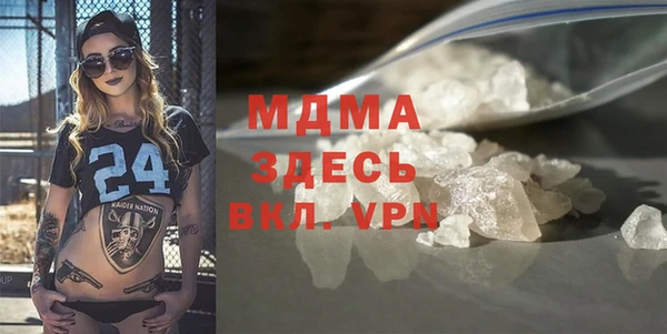 индика Бородино