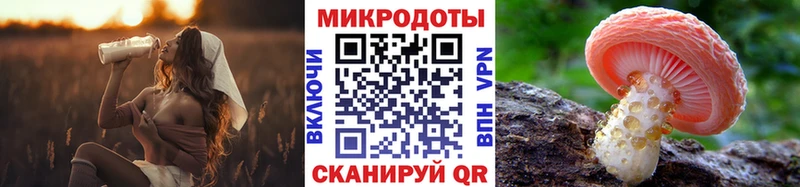 Псилоцибиновые грибы прущие грибы  Купить  Чудово 